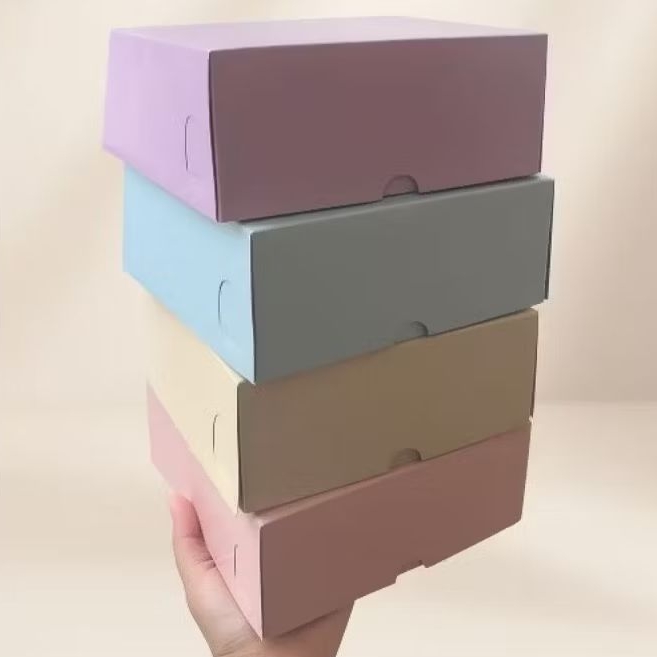 DUS NASI KOTAK POLOS WARNA WARNI AESTHETIC