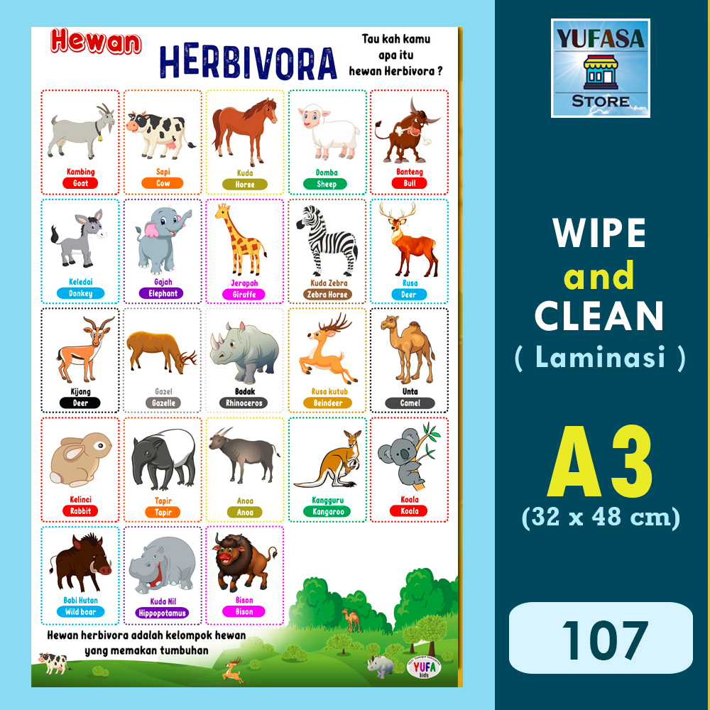 107 Poster hewan herbivora - Poster Edukasi Anak - Poster belajar anak - Poster wipe and clean - per