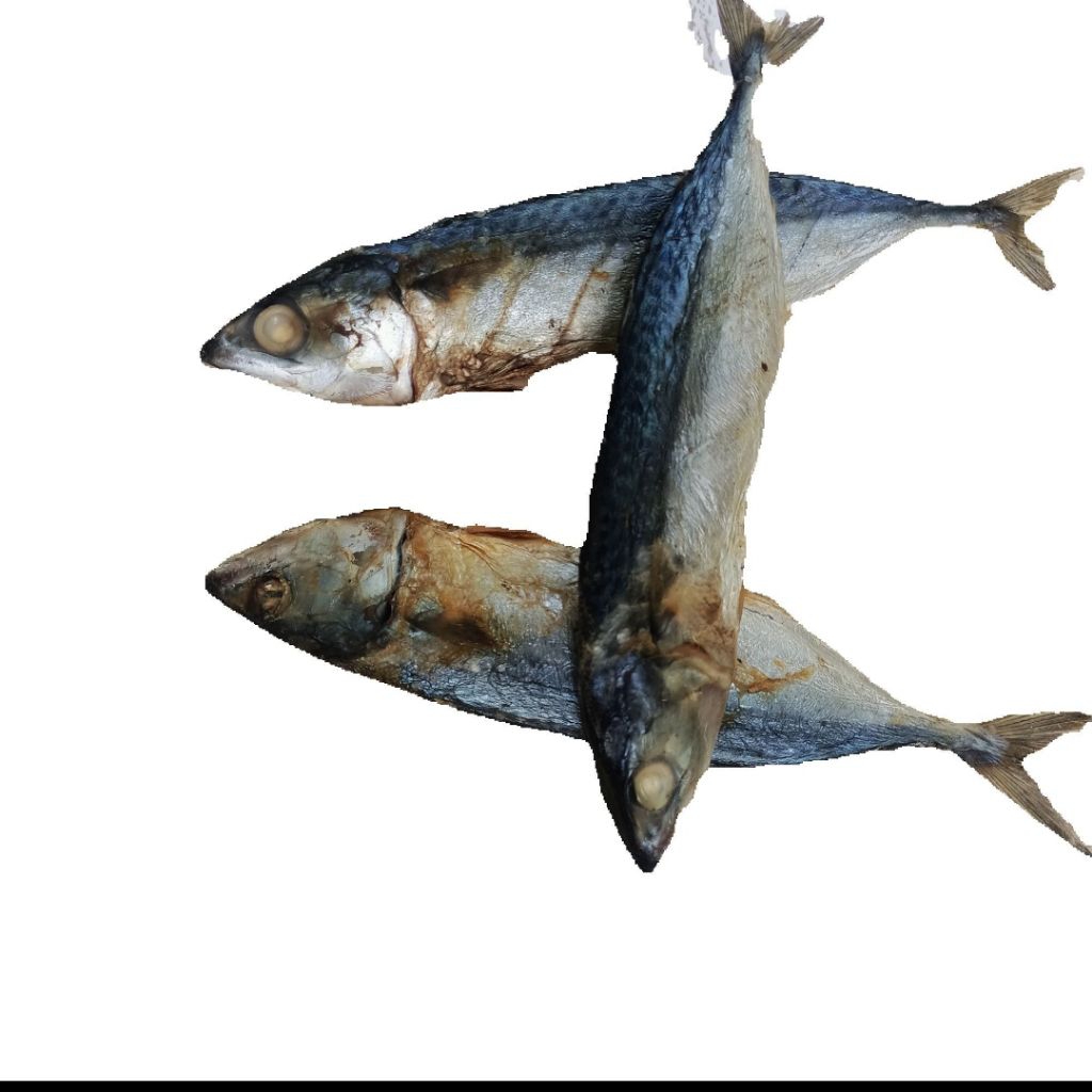 

IKAN ASIN PEDA PUTIH/ IKAN ASIN KEMBUNG1KG