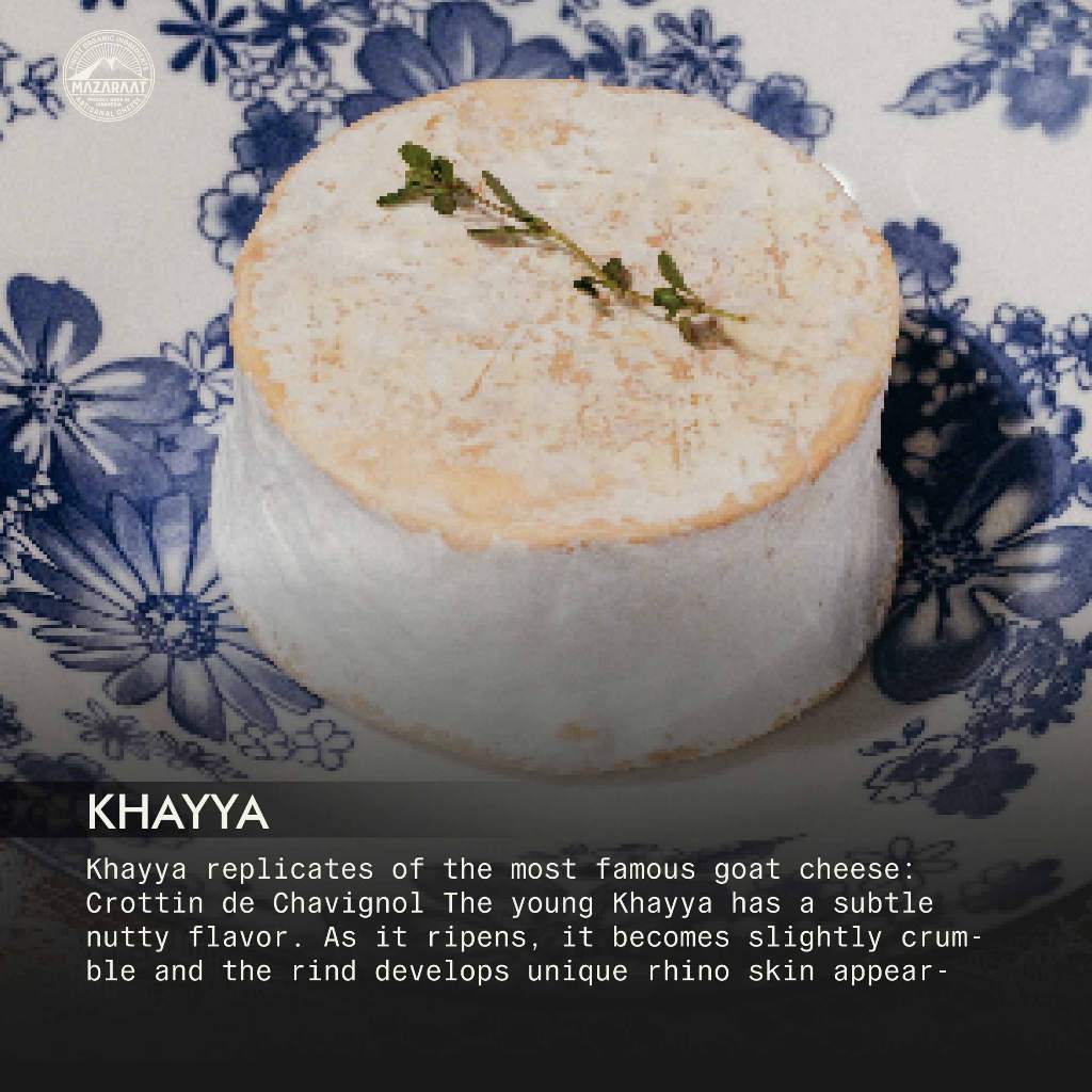 

MAZARAAT Keju Khayya (Crottin de Chavignol)