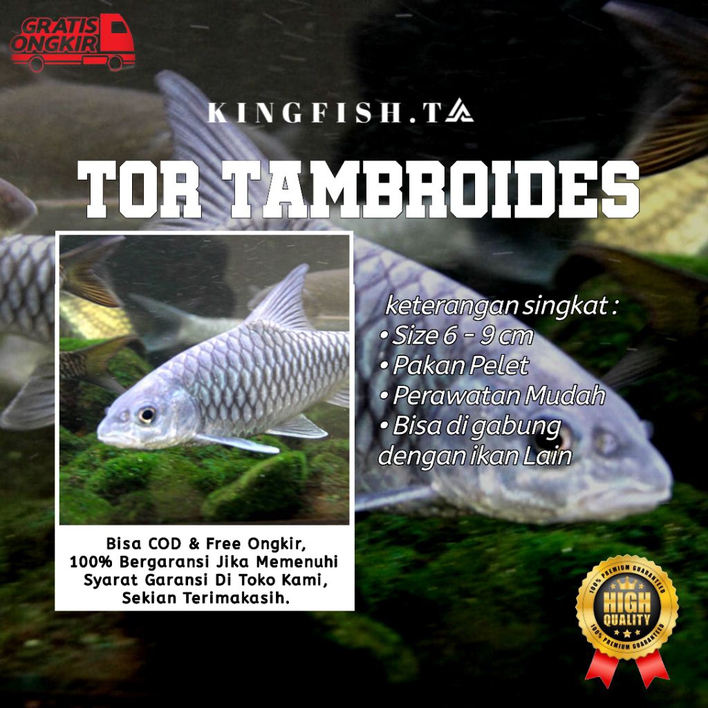 HIASAN AQUARIUM TOR TAMBROIDES