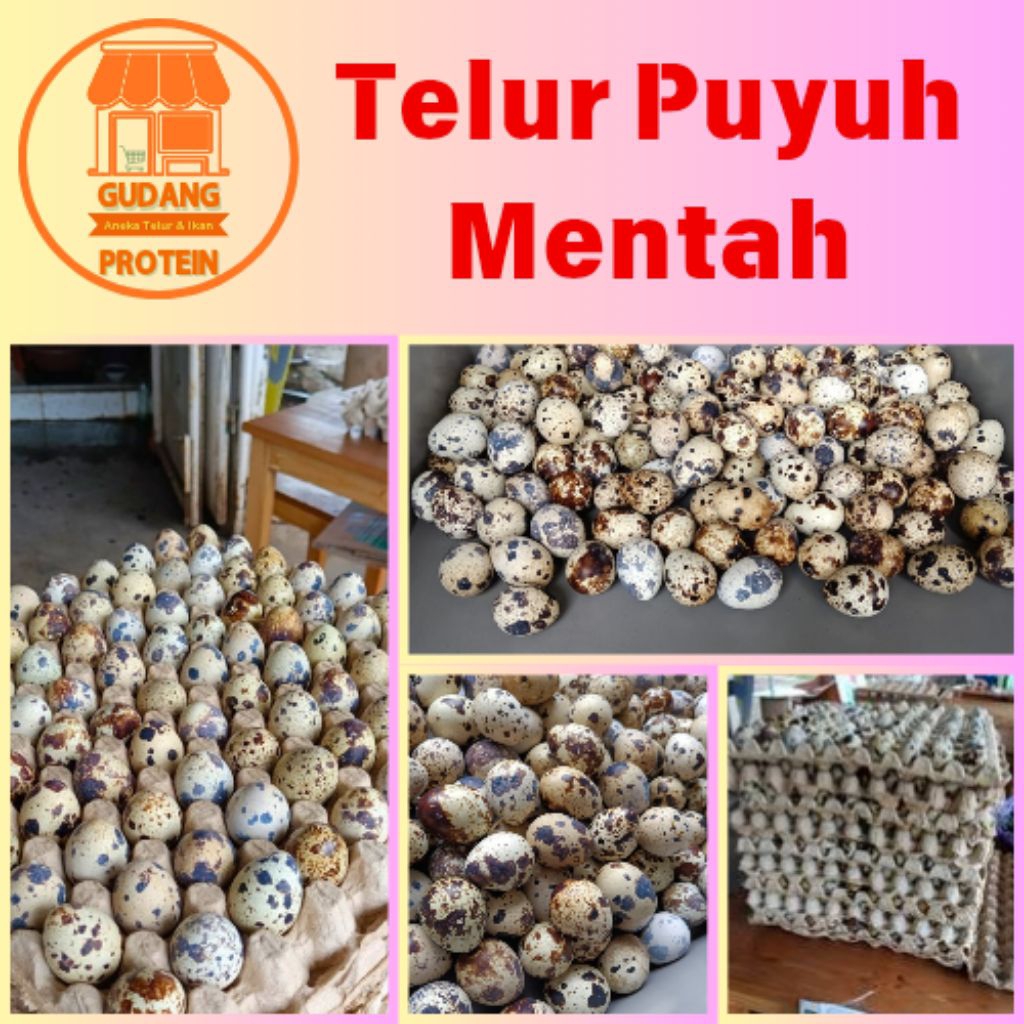 

Telur Puyuh Grade A pilihan terbaik