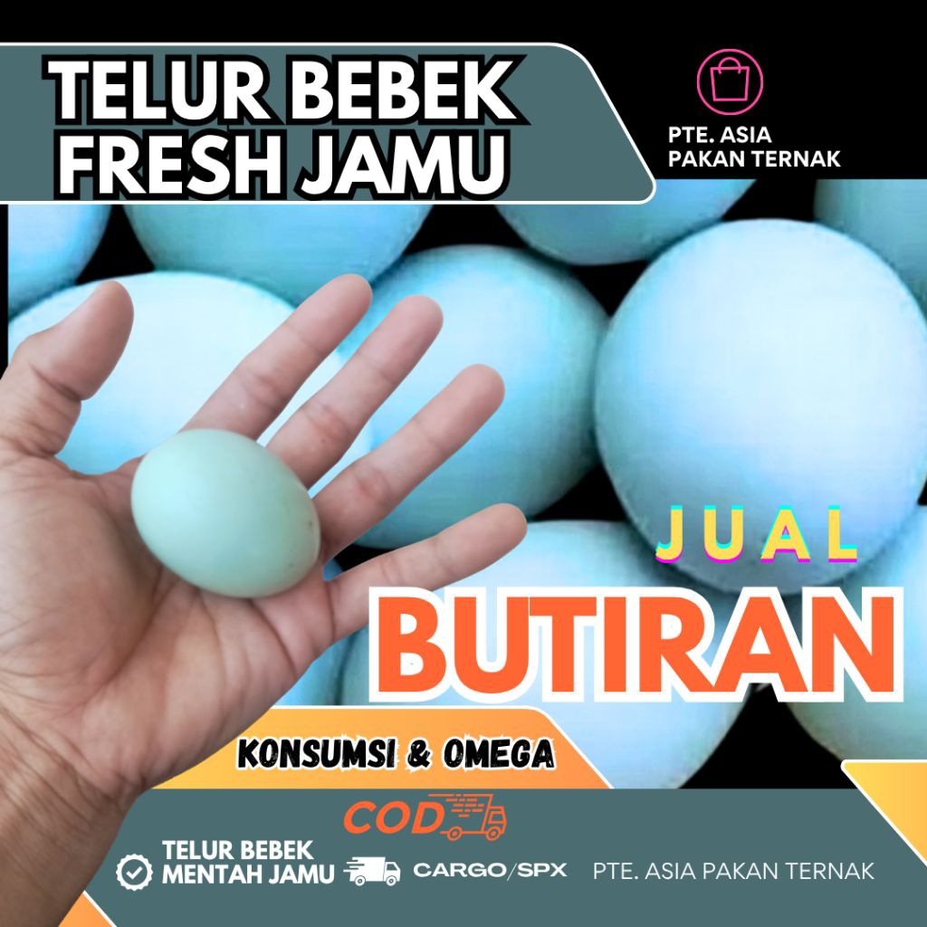 

TELUR BEBEK Mentah Fresh Omega | Jamu STAMINA Kesehatan