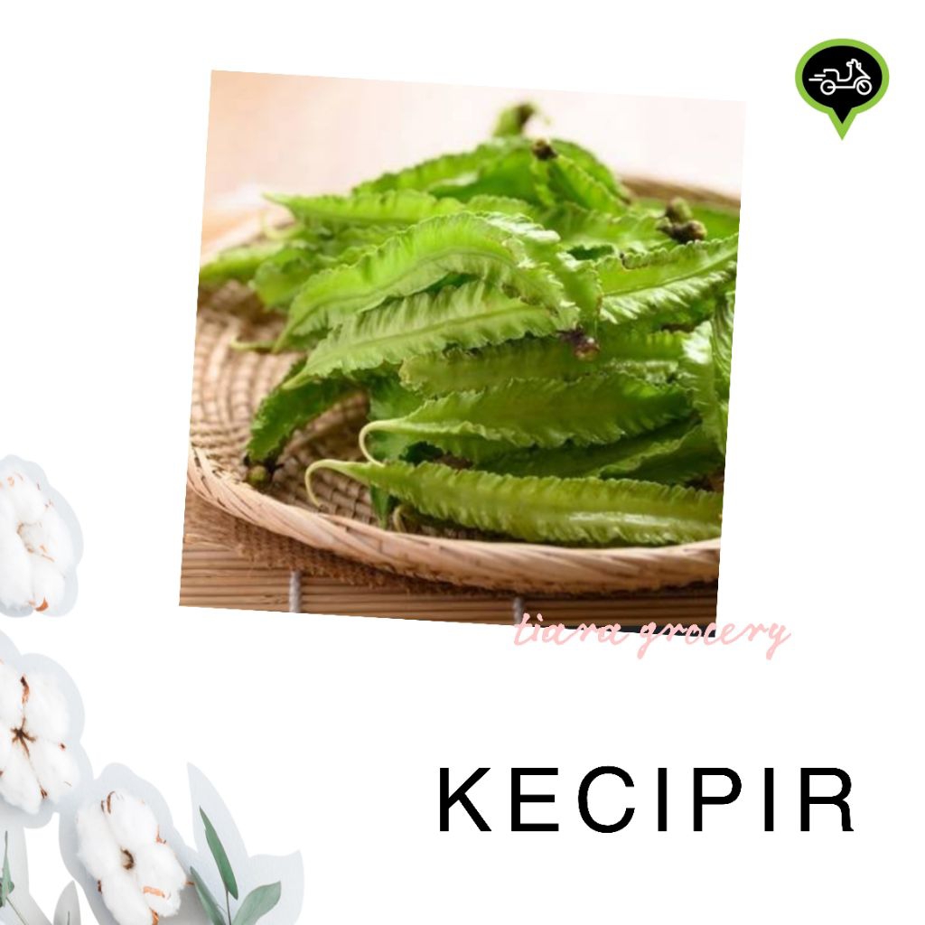 

Kecipir