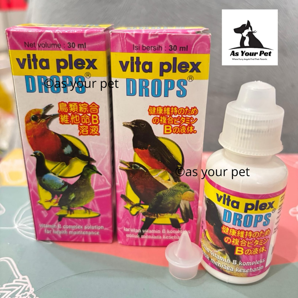 Vitaplex Drop Vitamin B Kompleks Complex untuk burung kicau ocehan