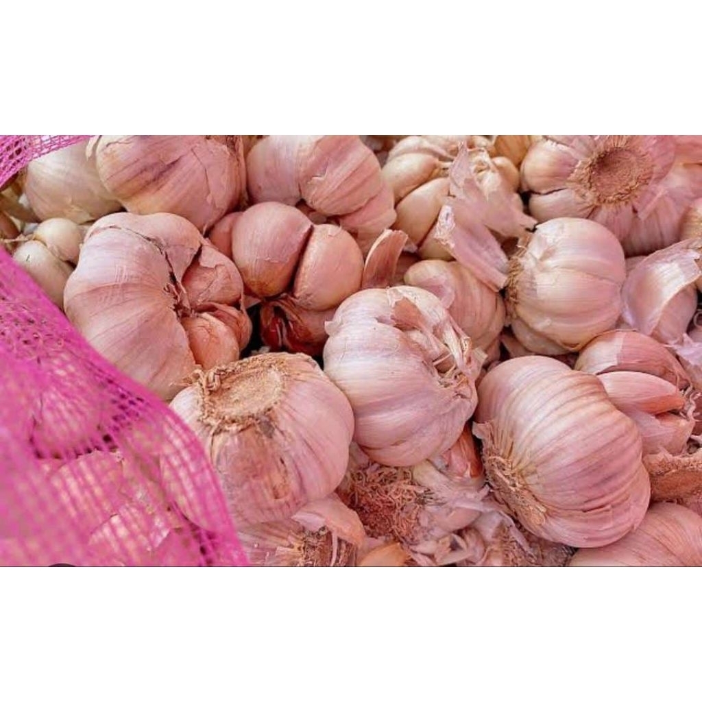

BAWANG PUTIH SUPER PER 1KG