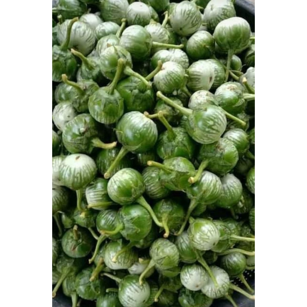 

terong bulat / terong ijo 250gr