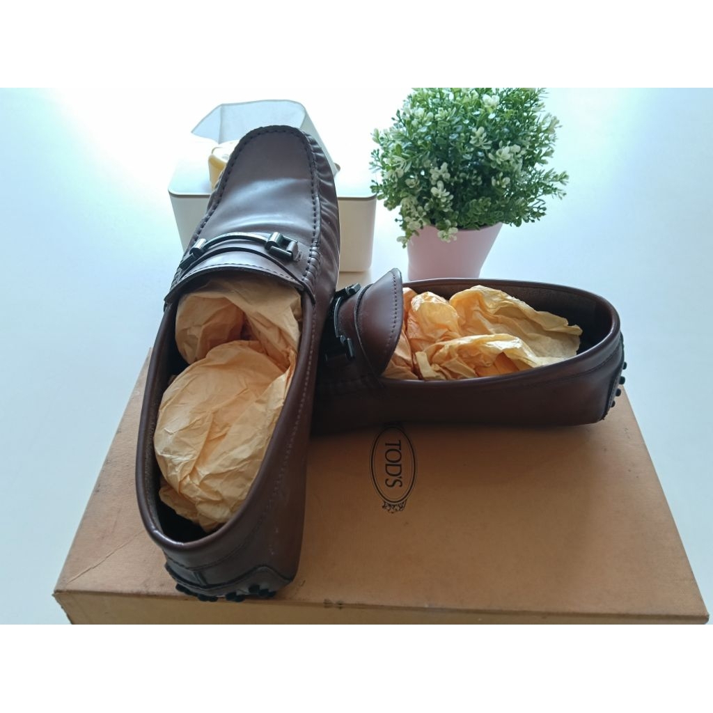 Sepatu Pria TOD'S Original 100%