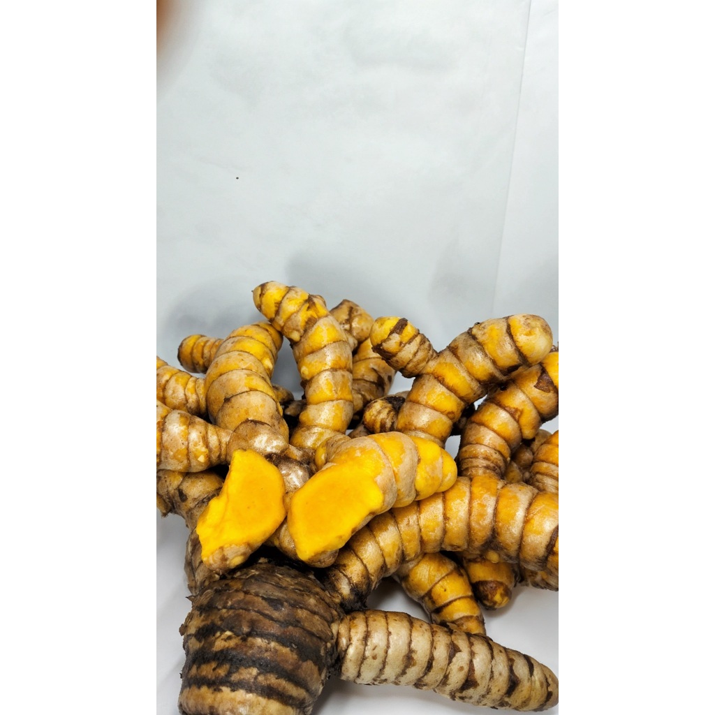 

Temulawak Segar Organik 1kg