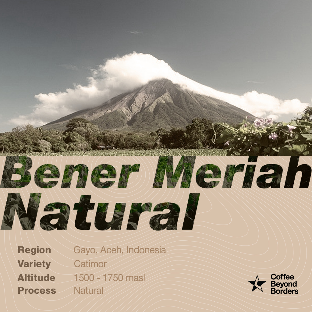 

Arabica Green Beans - Aceh Bener Meriah Natural