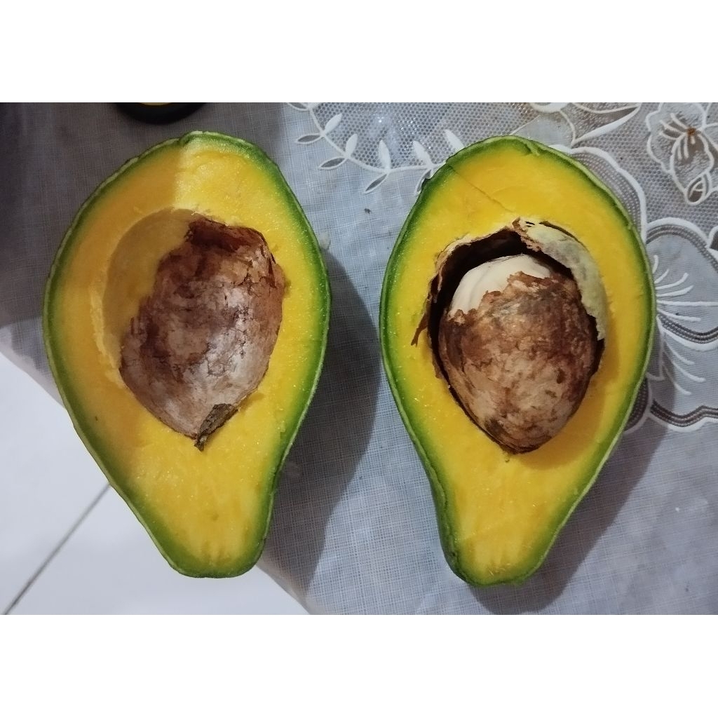 

Alpukat Mentega Lampung 1kg Jumbo