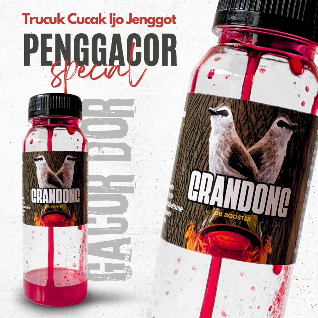 GRANDONG Doping Burung Trucukan Cucak Ijo Jenggot Kapas Tembak Ropel Cepat Gacor
