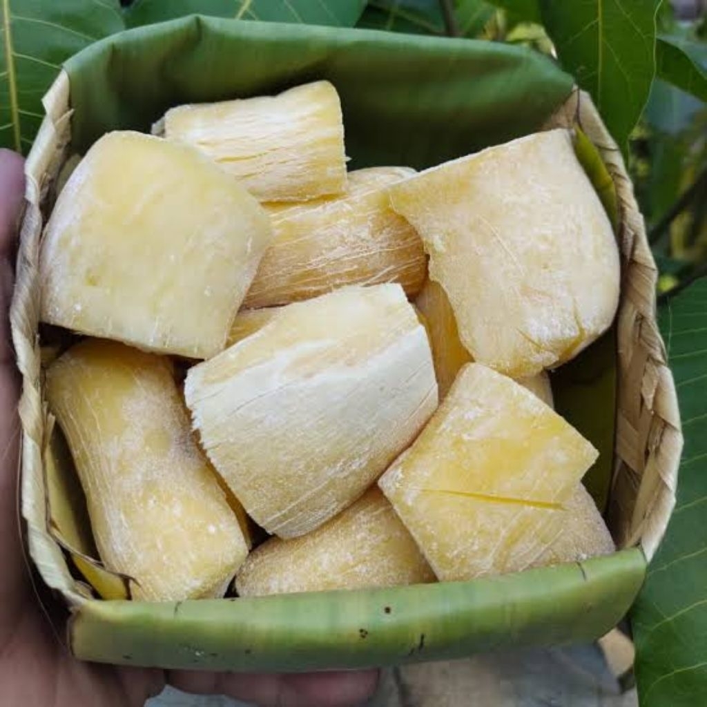 

TAPE Singkong Manis Asli 100% 1Kg KHAS BONDOWOSO