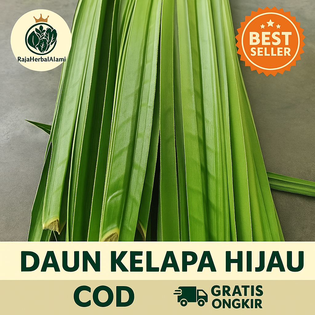 

Daun kelapa segar hijau Per 10 Lembar | COD