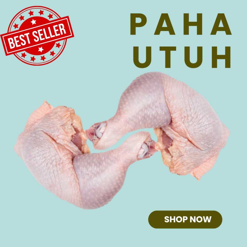 

PAHA UTUH AYAM