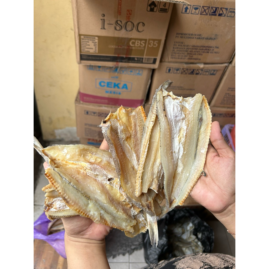 

IKAN ASIN BLOSO IKAN ASIN TERMURAH