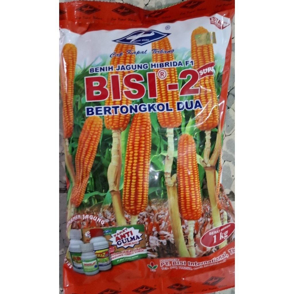 benih jagung bisi 2