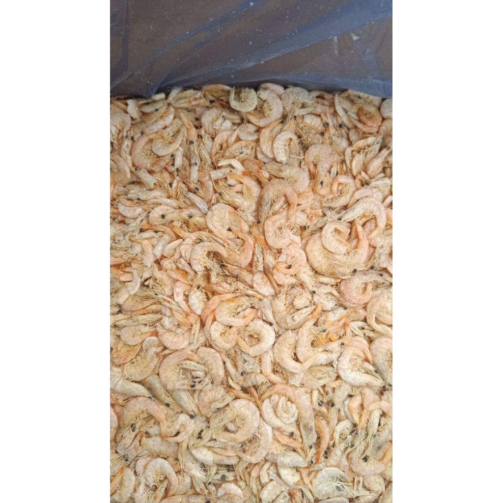 

Udang Manis , Udang Rebon