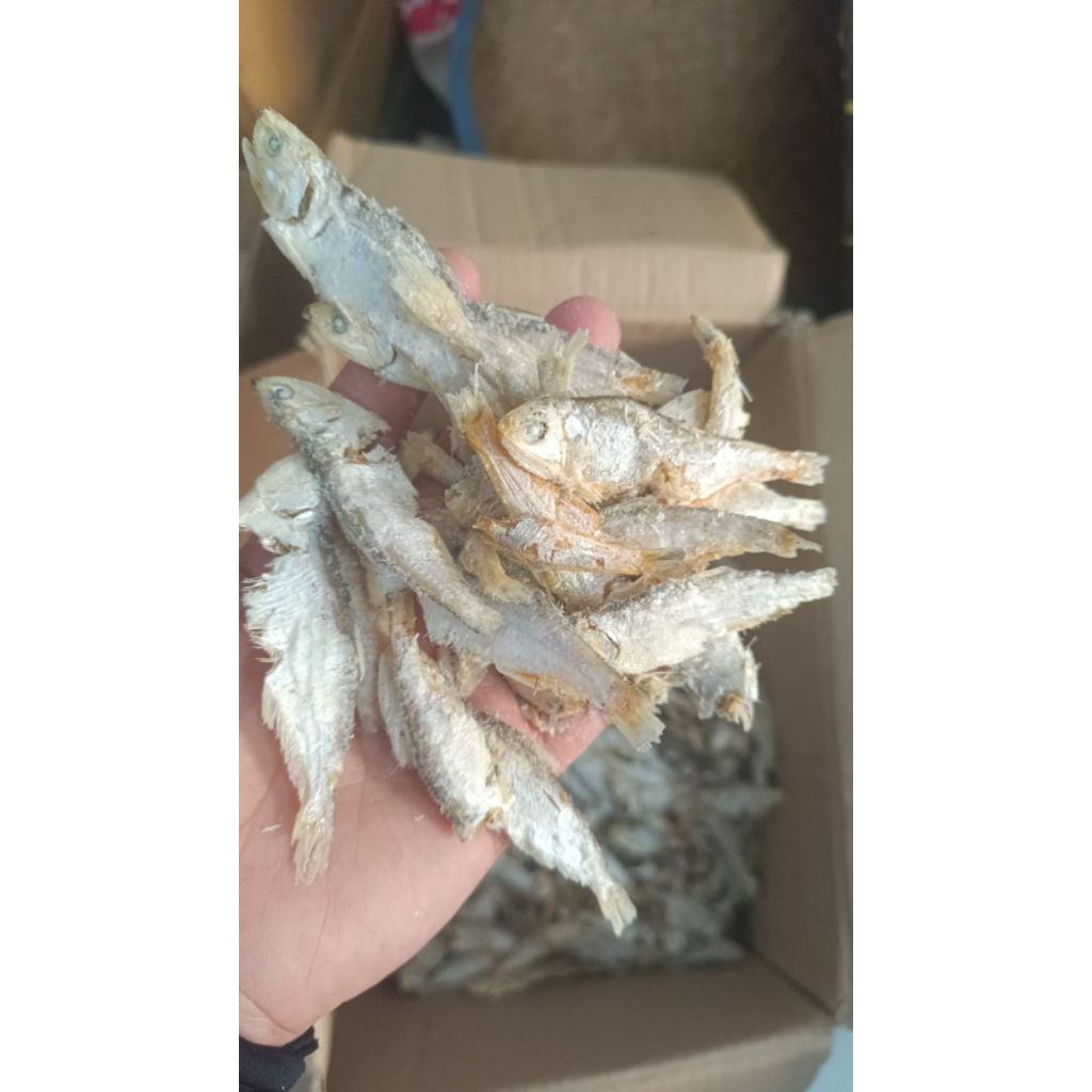 

ikan Asin Campur/Sampah Medan