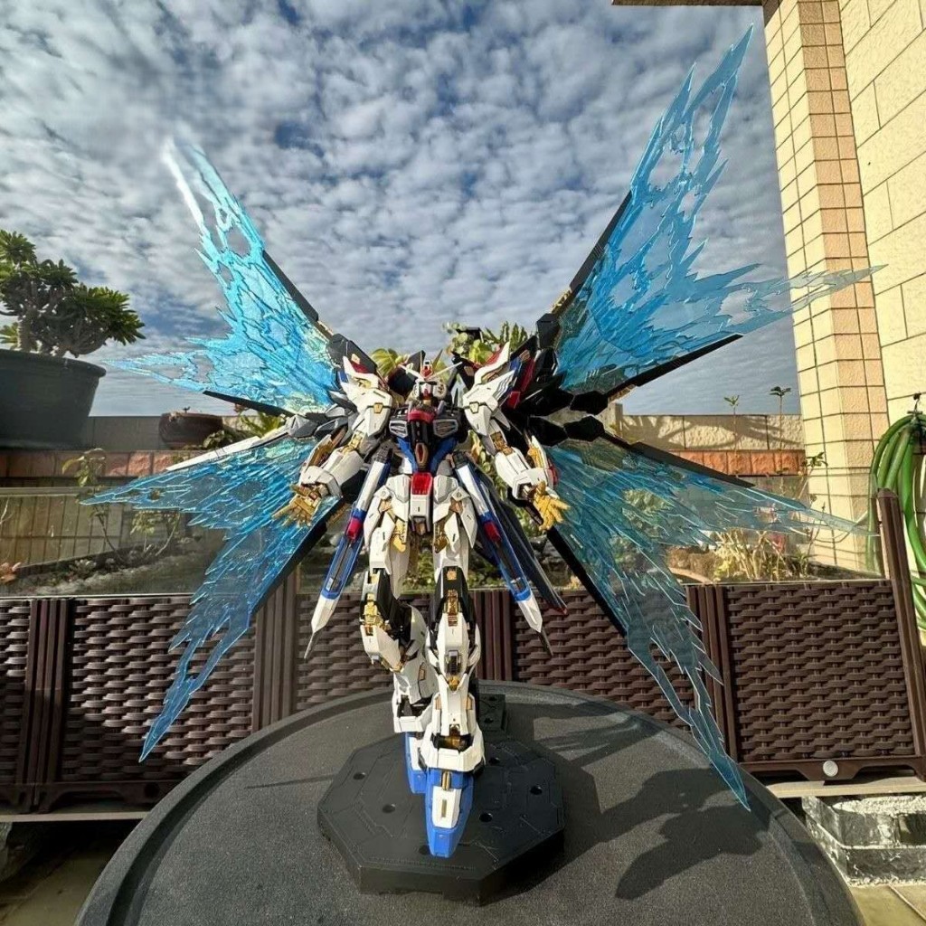 MGEX STRIKE FREEDOM WING OF LIGHT WOL 7701 CHANGLONG 1/100 PLAMO