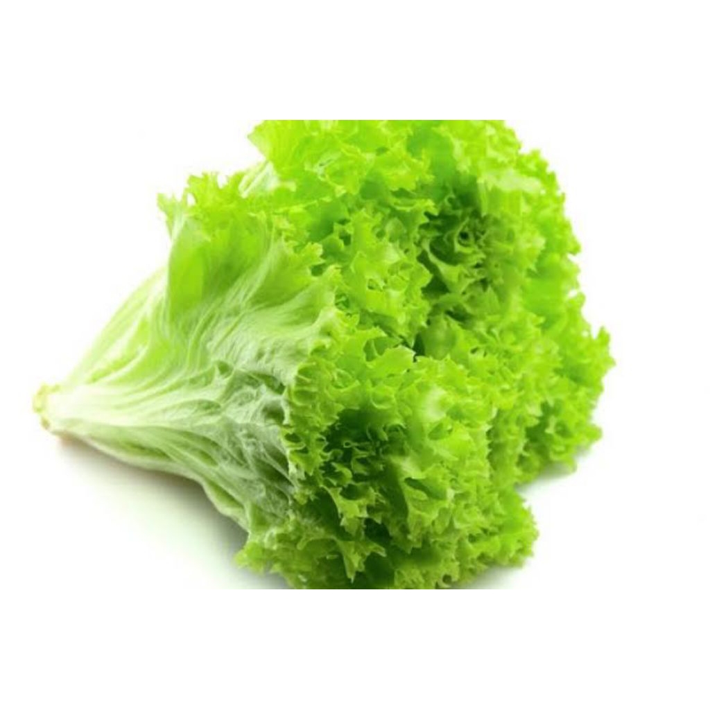 

Selada Segar | Sayur Segar | Jual segala jenis sayuran segar
