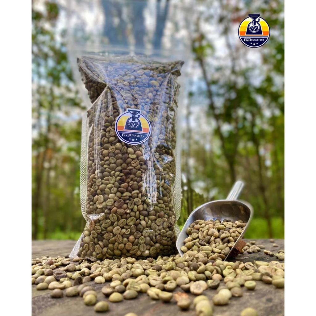 

Robusta Green Bean Cibuntu – Biji Kopi Mentah Kualitas Ekspor | DPR Roastery