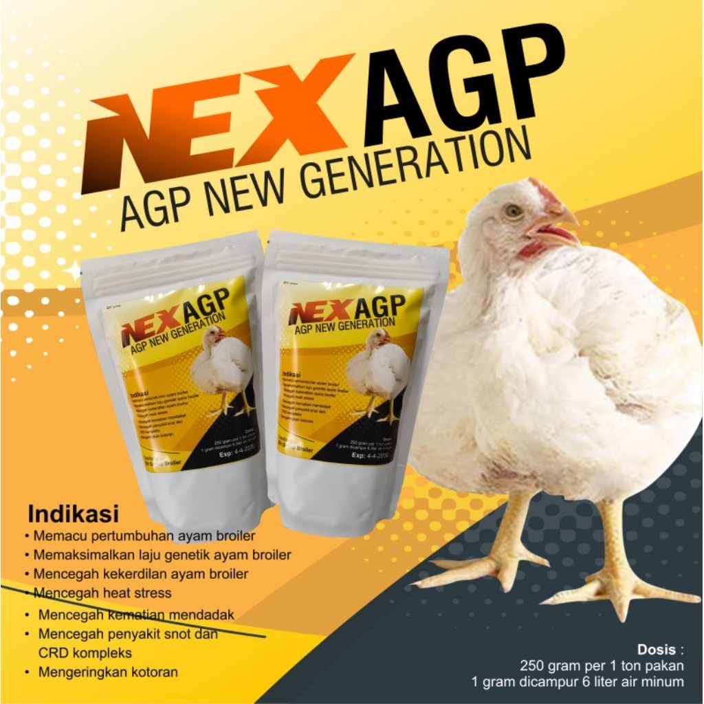 AGP Solusi Hemat pakan Broiler