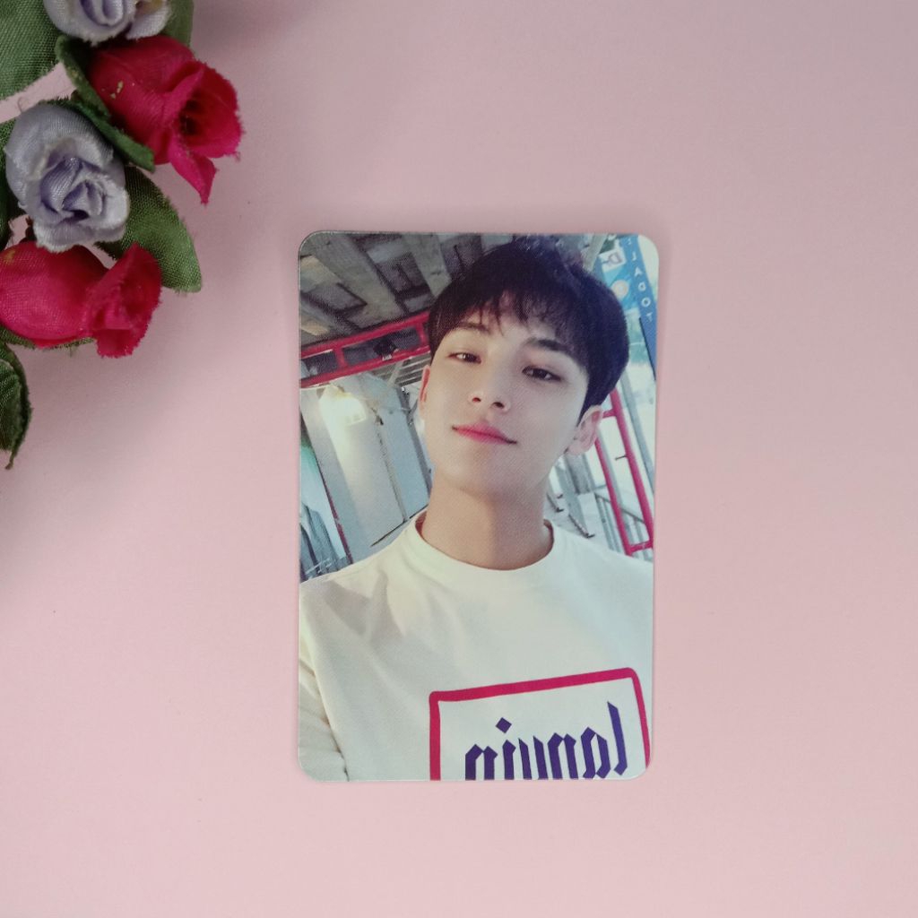 Photocard Mingyu Official