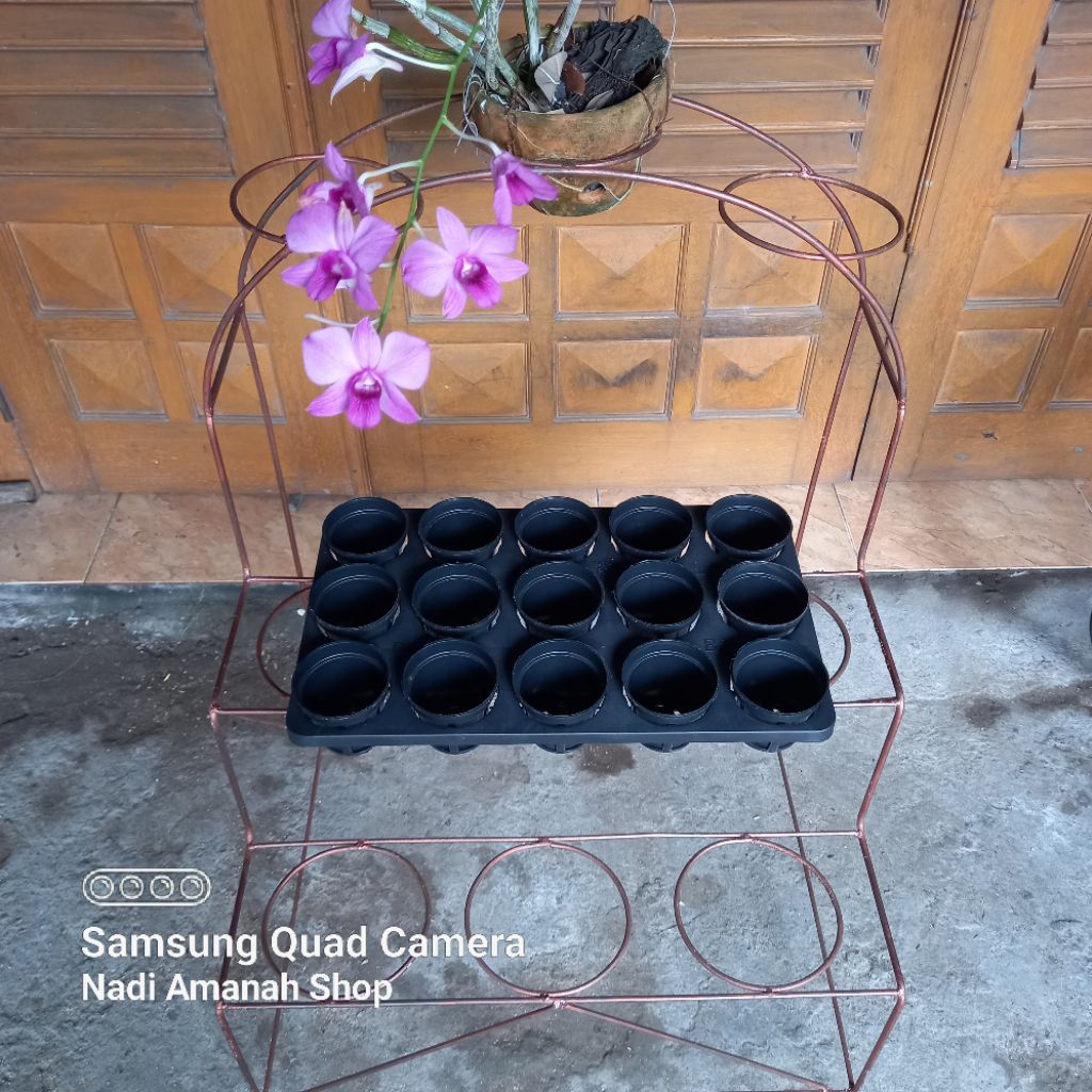 Paket Pot Tray Semai Anggrek 15 Pot