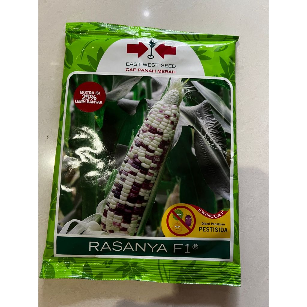 Benih Jagung RASANYA F1 1800 Butir Jagung Putih Merah Pulut Manis Dari Panah Merah