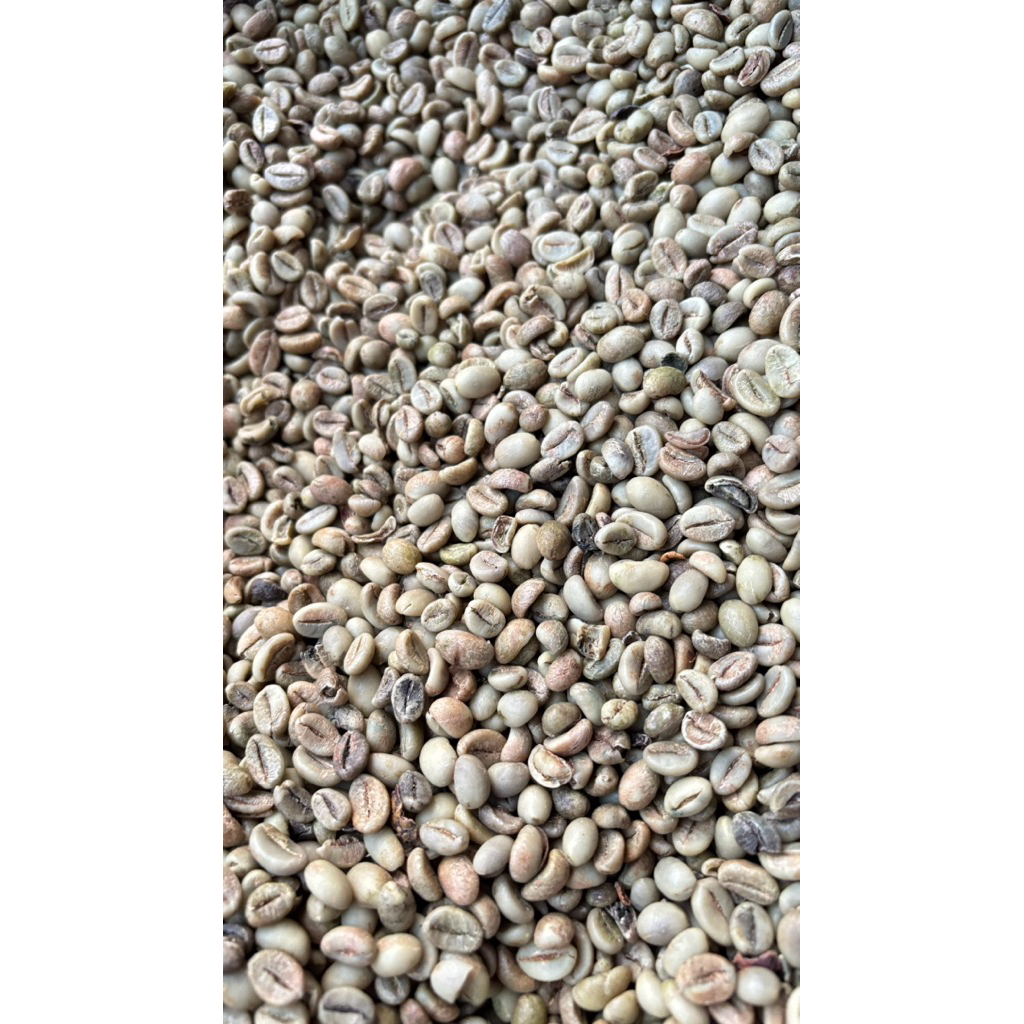 

kopi robusta 100% asli Temanggung