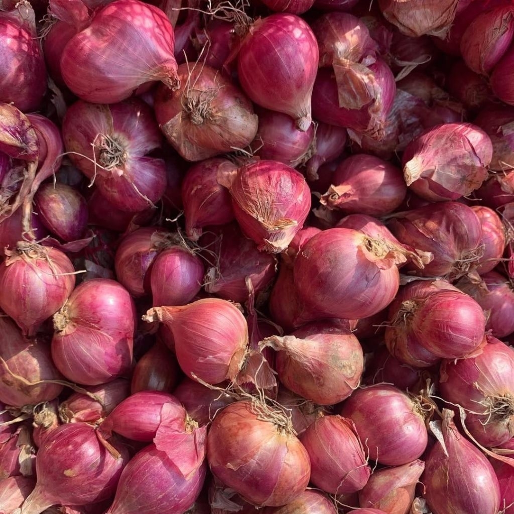 

Bawang Merah Brebes Jawa Ukuran Besar Kering 1kg