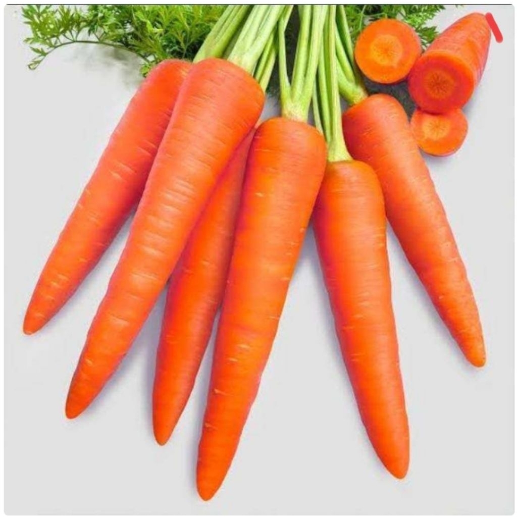 

sayur wortel 250gr,500gr,1kg