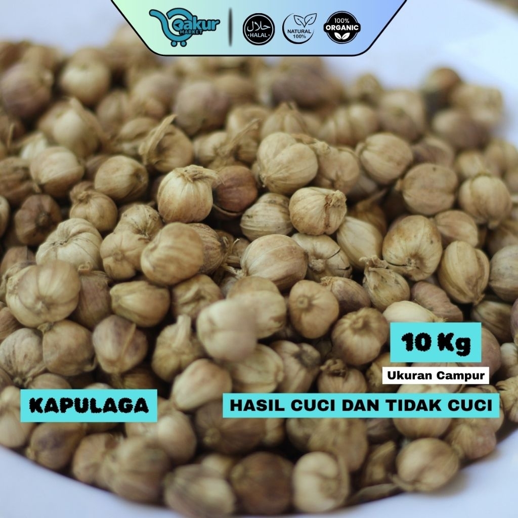 

[10 KG] Kapulaga Kering Utuh Kualitas Ekspor Rempah Pilihan, Wangi Tajam, Murni tanpa Campuran