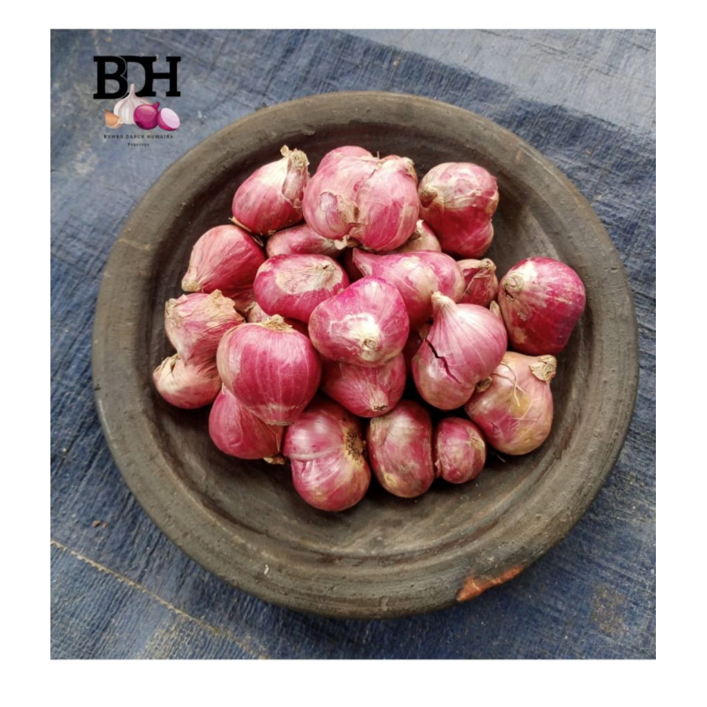 

Bawang Merah Kering Super Besar 1kg