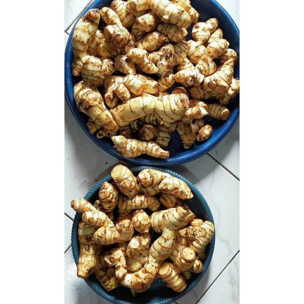 

Ganyong Muria Manis 1kg Fress
