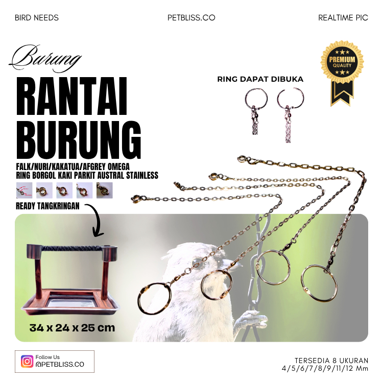 Rantai Burung Falk, Nuri, Kakatua, Afgrey Omega Ring Borgol Kaki Burung Parkit Australia Stainless