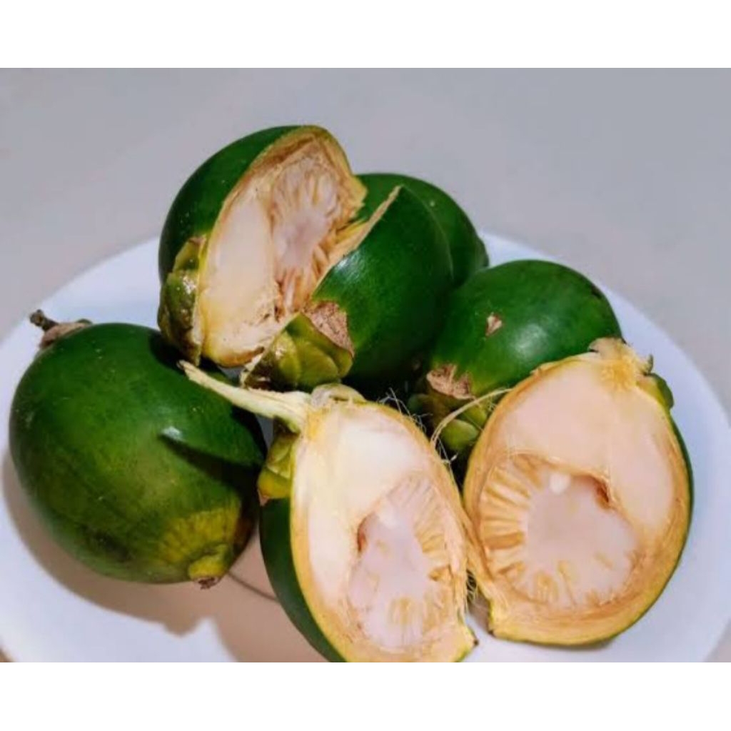 

buah pinang muda segar per kg