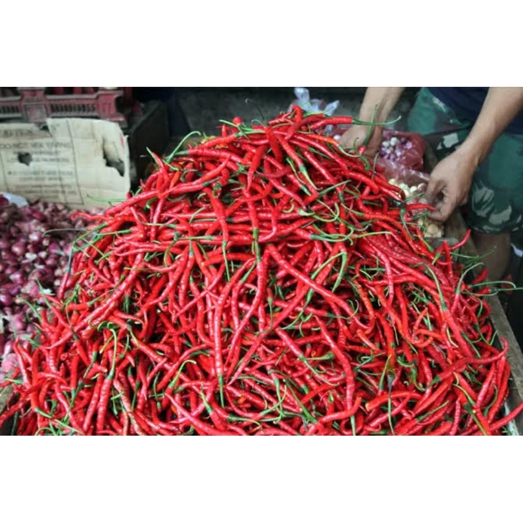 

Cabai keriting merah fresh 1kg