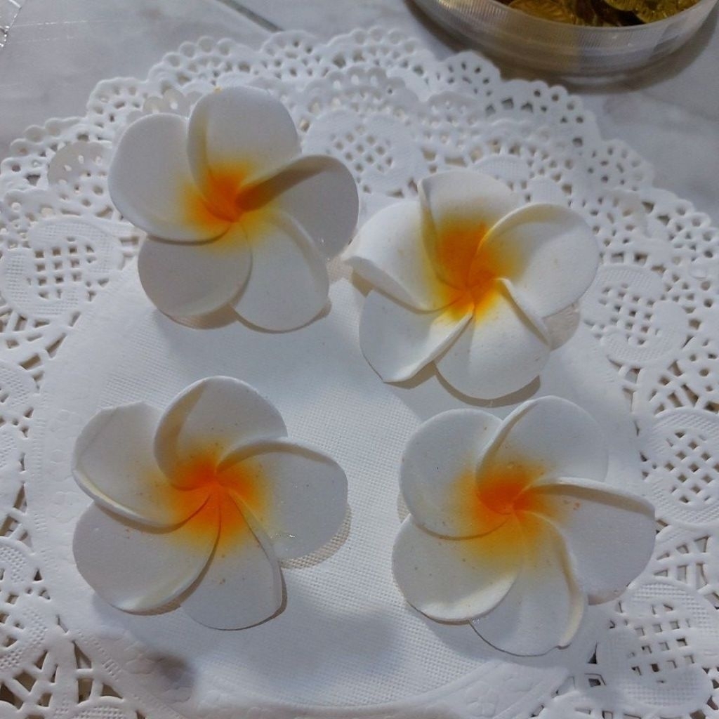 (12biji)BungaKamboja/bungaspon/Kamboja