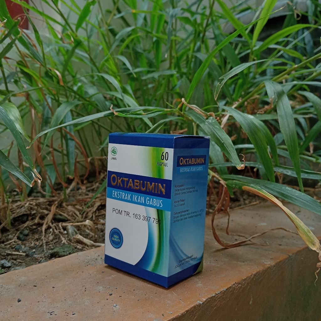 Oktabumin 60 Kapsul Jogja Natural Herbal Suplemen Ekstrak Ikan Kutuk DIY