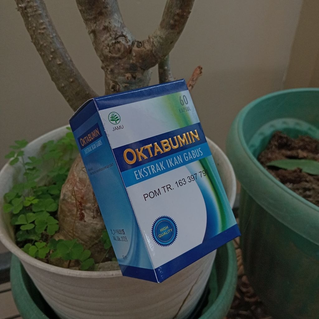 Oktabumin 60 Kapsul Ekstrak Ikan Gabus Minyak Ikan Kutuk DIY