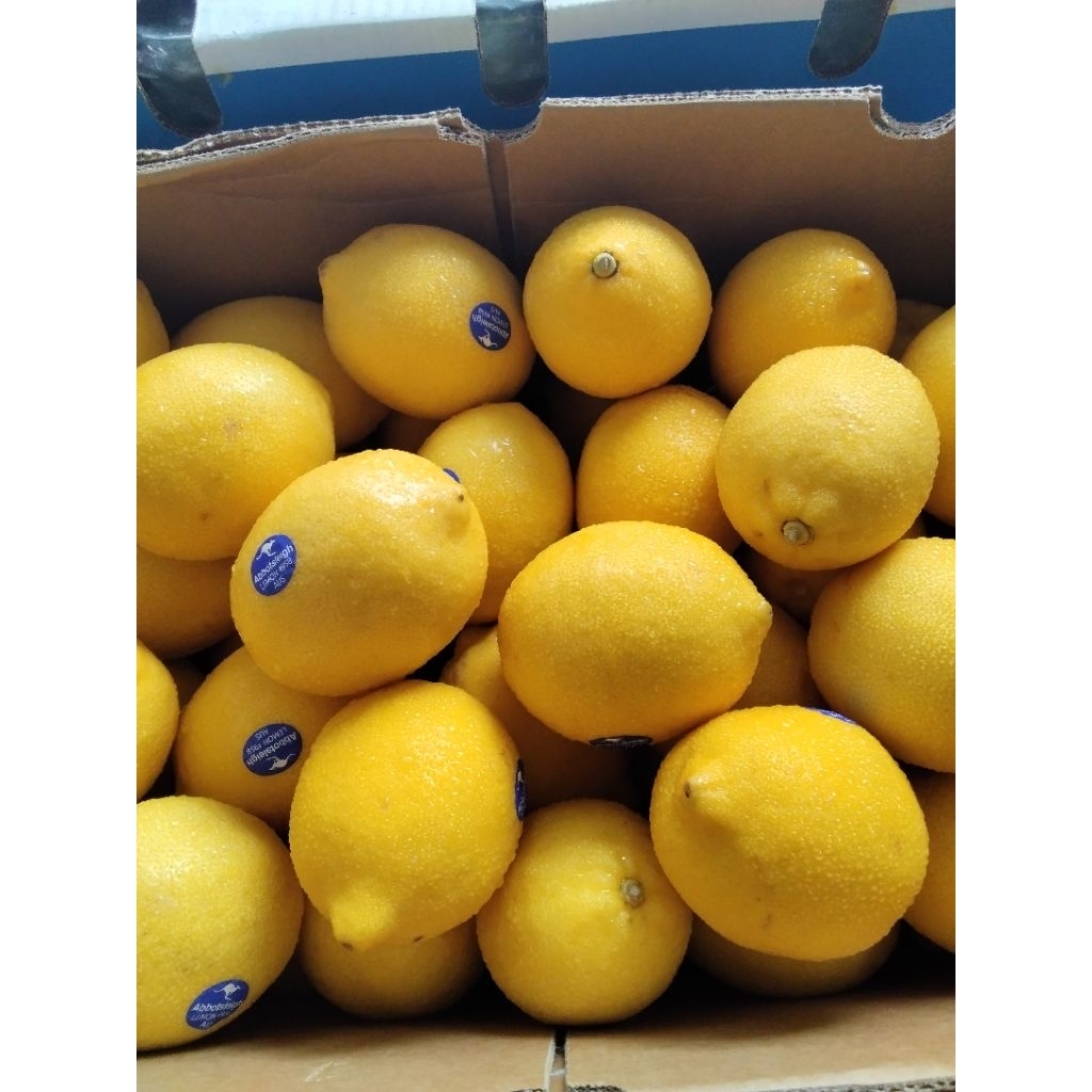 

Jeruk Lemon Impor ausy 2 biji