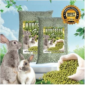 MUNG BEAN GRIND 500 - Makanan Hamster Bubur Kacang Hijau Untuk Bayi Hamster Induk Hamster Menyusui S