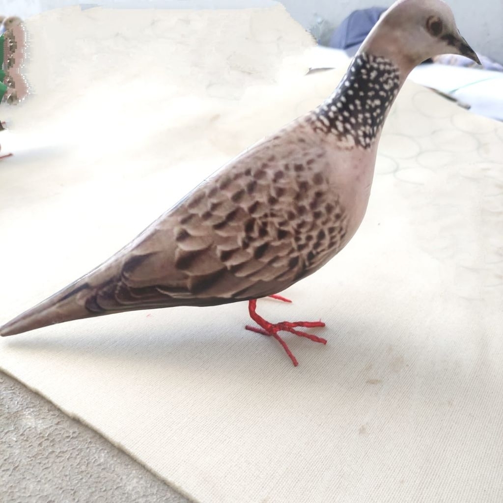 boneka jontrot burung tekukur/ dekoy manuk derkuku mirip aslinya