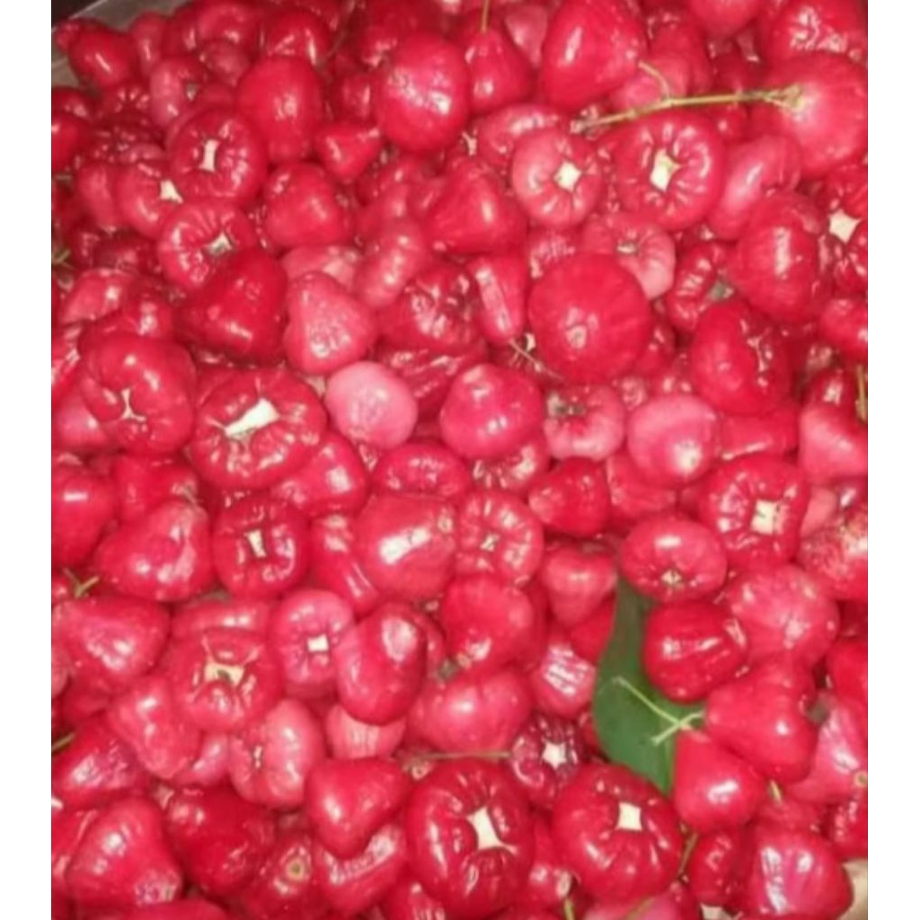 

Jambu Air