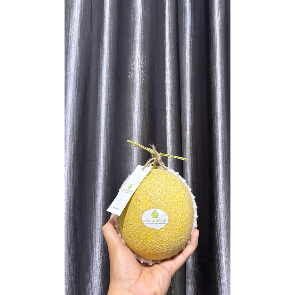 

Melon premium inthanon berat 2.5 kg