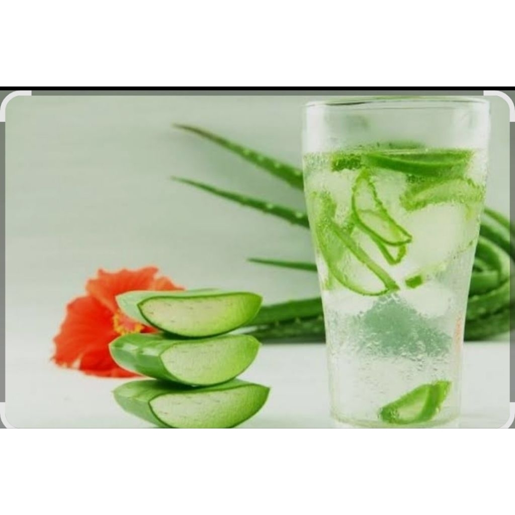 

ES LIDAH BUAYA ALOE VERA