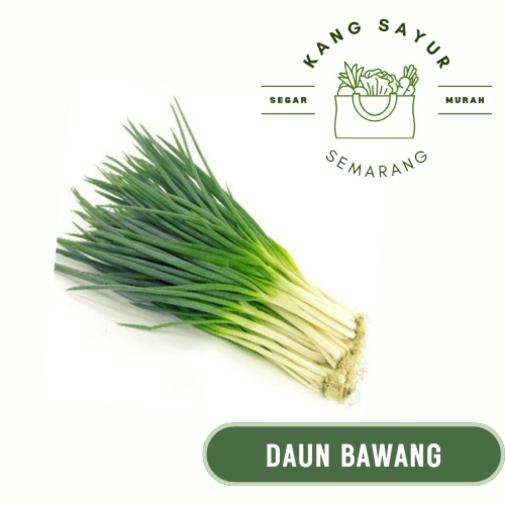 

Daun Bawang 100 gr - Sayur Segar Online Semarang