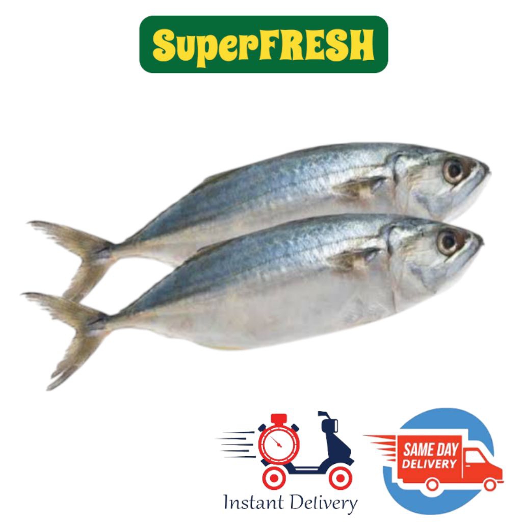 

Ikan Kembung Banjar